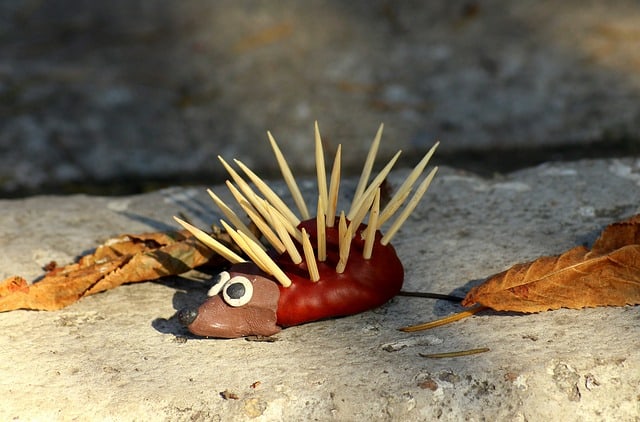 Kastanien Igel