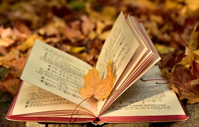 Buch liegt im Laub