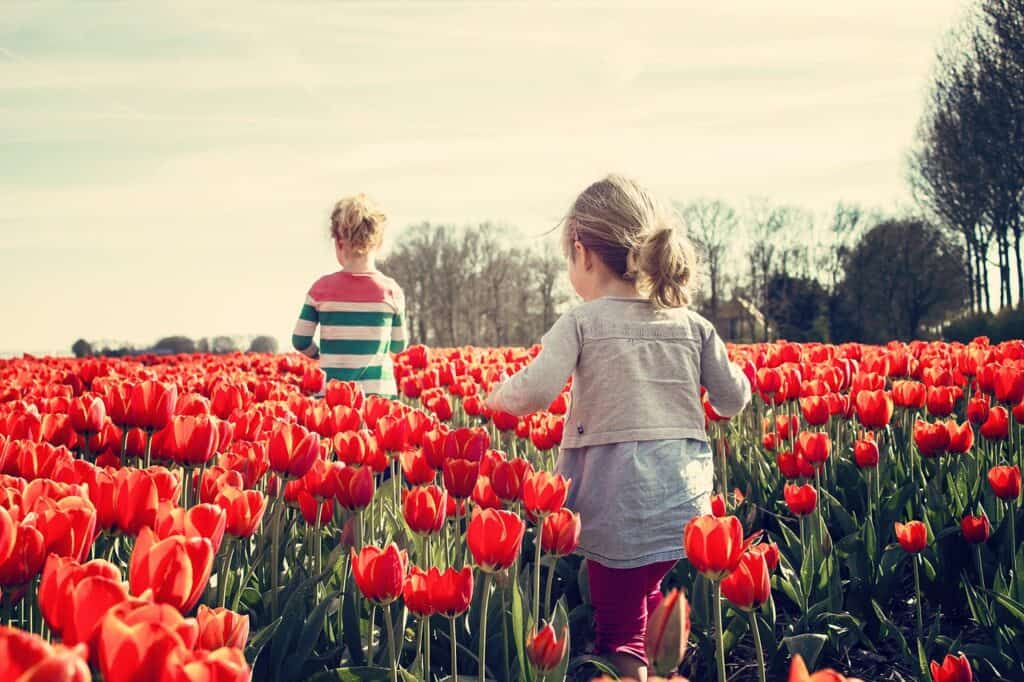 Kinder im Blumenfeld